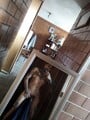 FOTOS DE CÓMO TE GUSTARÍA QUE TE LO HAGA EL DÍA DE HOY?