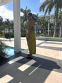 FOTOS DE EXPECTACULAR MORENA NALGONA Y VERGUDA SEXY