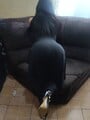 FOTOS DE MASAJE O RICO SEXO ?? DESCUBRE EL VERDADERO PLACER SIN LÍMITES MALENE VIP