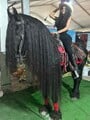 FOTOS DE LA VAQUERITA ALTEÑA SASHA MONTENEGRO 21 AÑOS DISPONIBLE HAGAMOS EL AMOR