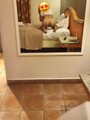 FOTOS DE TALLA 7 MORENA CLARA! QUIERES COGER CON UNA ESCORT BIEN CALIENTE MI AMOR