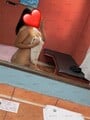 FOTOS DE TE ENCANTARA ESTAR A MI LADO SOLO MÁNDAME MENSAJE
