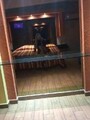 FOTOS DE JOVEN CON GRAN CARAMELO BONITA Y SUMISA COMPLACIENTE DISPONIBLE PARA SACARTE LA