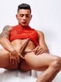 FOTOS DE POCOS DIA MASCULINO POLLO EDUCADO MACHO 21 CM.CACORRO PAISA SIN TAPUJOS