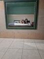 FOTOS DE HOLA SOLO ESTARE POR DIAS EN TU CIUDAD ESPERO VERLOS MIS AMORES BESITOS