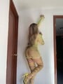 FOTOS DE SOY TU NENITA DELGADA ,ESBELTA CALIENTE MORBOSA DISPONIBLE