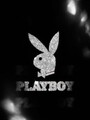 FOTOS DE TRABAJA COMO PREPAGO DE ALTO NIVEL EN LA CASA DE CONEJITAS PLAY BOY