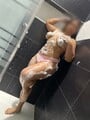 FOTOS DE QUIERES GANAR INGRESOS? BUSCO CHICAS CON BUENA ACTITUD QUE QUIERA TRABAJAR