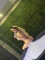 FOTOS DE CHICA INDEPENDIENTE NALGONA CHICHONA BRENDA