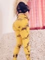 FOTOS DE PROMOCIÓN HOY$ PAO UNA RUBIA NALGONA Y RICAS TETAS!!DISFRUTAME Y BÉSAME TODITA!