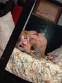 FOTOS DE DE NUEVO NIKOLLE TU RUBIA CULONA FAVORITA UN SITIO PRIVADO EN MADRID CUNDINAMARC