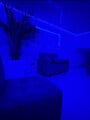 FOTOS DE CUPOS DISPONIBLES, SE BUSCAN CHICAS SCORT, TRABAJO PARA SCORT