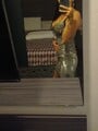 FOTOS DE HOLA BB SOY UNA NIÑA MUY CALIENTE SUPER FLAQUITA Y APRETADITA