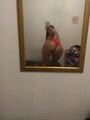 FOTOS DE 1199... VEN A MI LUGAR... NO GASTES EN HOTEL ESCORT MADURITA EXPERTA