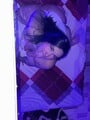 FOTOS DE HOLA SOY VANE, SOY NUEVA AMOROSA, ATREVIDA Y SENSUAL DISPUESTA A COMPLACERTE