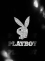 FOTOS DE AGENCIA ABRE CONVOCATORIAS! HAZ PARTE DE LA CASA CONEJITAS PLAY BOY