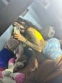 FOTOS DE ARDIENTE VERGONA LECHERA DOMINANTE CULONA PARA TÚ PLACER