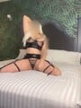 FOTOS DE HOLA PAPI VEN POR MI RICA PROMOCIÓN 800 MEDIA HORA 1400 UNA HORA