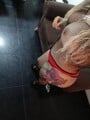 FOTOS DE LLEGUE A TU PUEBLO MIS AMORES PARA QUE PASE UN RATO DIFERENTE MIS AMORES
