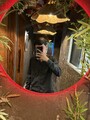 FOTOS DE SOY UN CHICO GUAPO DE 18 AÑOS ATREVETE A CONOCERME
