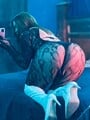 FOTOS DE MICH NENE LISTA PARA COMPLACERTE Y LA PASES MARAVILLOSO