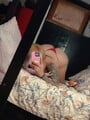 FOTOS DE NIKOLLE AHORA CON SITIO EN MOSQUERA VEN Y TE COMES MI CULO GRANDE Y RICO