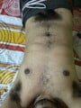 FOTOS DE PELUDO MORBOSO VERGON CULION LECHERO Y ARRECHO