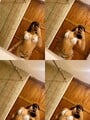 FOTOS DE SEXY BLANQUITA TATUADA BAJITA CALIENTE EXTROVERTIDA ALEGRE AMOR