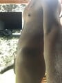 FOTOS DE 20CM DE VEEGA MORENA PARA DARLE BIEN RICO POR ESE CULO Y PARTIRSELO BIEN RICO