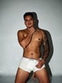 FOTOS DE DISPONIBLE , BIEN ARRECHO LECHERO Y ZORRO