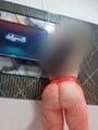 FOTOS DE HOLA MIS AMORES LLEGÓ TU CABALLOTA POR POCOS DÍAS EN TU CUIDAD