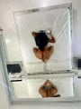 FOTOS DE VALERIA TU MORENITA NALGONA MENTE ABIERTA