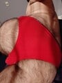 FOTOS DE SANTY.... A TU DISPOSICIÓN PASIVO COMPLACIENTE