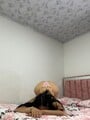 FOTOS DE ESTEFANY BLANQUITA PELI NEGRA ELEGANTE ESCORT