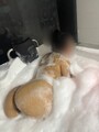 FOTOS DE SOY LINDA Y JOVEN CON UNA VAGINA MOJADA, VEN QUE CONMIGO PASARAS DELICIOSO AMOR