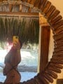 FOTOS DE LATINA DRLICIOSA MUY CALIENTE TE FACINARA MIS MAMADAS AL NATURAL 24PARTAMETO