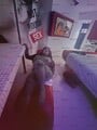 FOTOS DE $700 PAPI CHUPA MI CLÍTORIS Y MI ANO Y TE HAGO BESO NEGRO CON GARGANTA PROFUDA