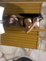 FOTOS DE MORENITA Y PURA TENTACIÓN DONDE LAS FANTASÍAS EMPIEZAN