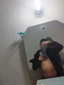 FOTOS DE CHICO VERSÁTIL, DISPUESTO A PASAR UN BUEN RATO.