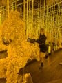 FOTOS DE EXPERTA EN PRIMERIZOS Y PRINCIPIANTES TRATA DE NOVIOS Y UN RICO MASAJE