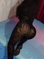 FOTOS DE MUJER BELLA MORENA ELEGANTE. MAESTRA EN EL SEXO ANAL.
