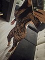 FOTOS DE PELINEGRA SEXY CACHONDA BUEN CUERPO TRATO AMABLE CON DISCRECION