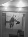 FOTOS DE CHAPARRITA ARDIENTE ATU VERGOTA Y LECHITA PAPI REYNA DEL SEXO ORAL