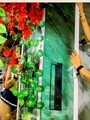 FOTOS DE MASAJISTA PROFESIONAL Y CONSENTIDORA QUE LE ENCANTA LAS FANTASÍAS