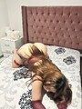 FOTOS DE LLEGANDO UNA DIOSA GRIEGA A TU VIDA PARA HACER EL AMOR SUPER RICO