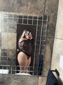 FOTOS DE CURVY Y MUY NALGONA Y MUY CALIENTE, NUEVECITA EN ZONA CENTRO