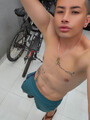 FOTOS DE POLLO VERGON VERSÁTIL CON SITIO PRIVADO