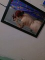 FOTOS DE HOLA GUAPOS VENGO A OFRECER MIS SERVICIOS