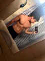 FOTOS DE JOVEN DE 23 CM DISCRETO PARA ENCUENTROS PLACENTEROS Y COMPAÑÍA EXCLUSIVA