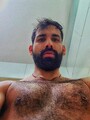 FOTOS DE XL PERSIAN WOLF ALTO, PELUDO, Y MASCULINO 1.85M VERS ACT TRATO DE NOVIO
